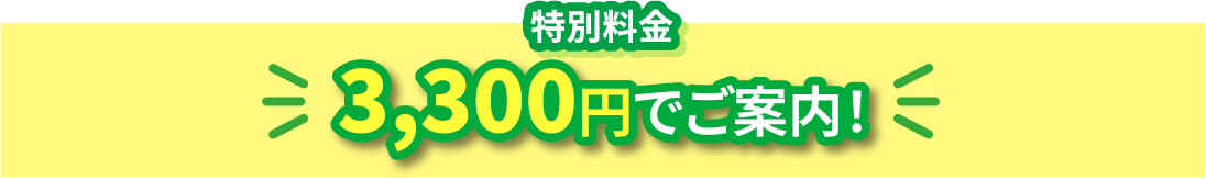 特別料金￥3,300円でご案内